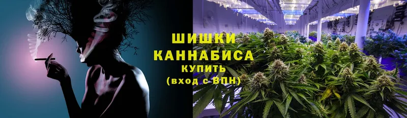 Конопля Amnesia  Куйбышев 